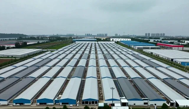 系统集成在成果转化中的实际应用与优化路径